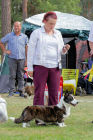 Best Veteran.  Best of Breed Cardigan NORD/FI/SE/NO Ch Big-Woods Triumph Renown. Owned by Mrs J Flinck