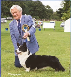 The following pages tell the history of Cardigan Welsh Corgi Breeder Peter Clifton from !952 - 2021